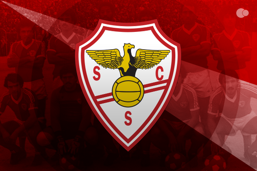 Salgueiros